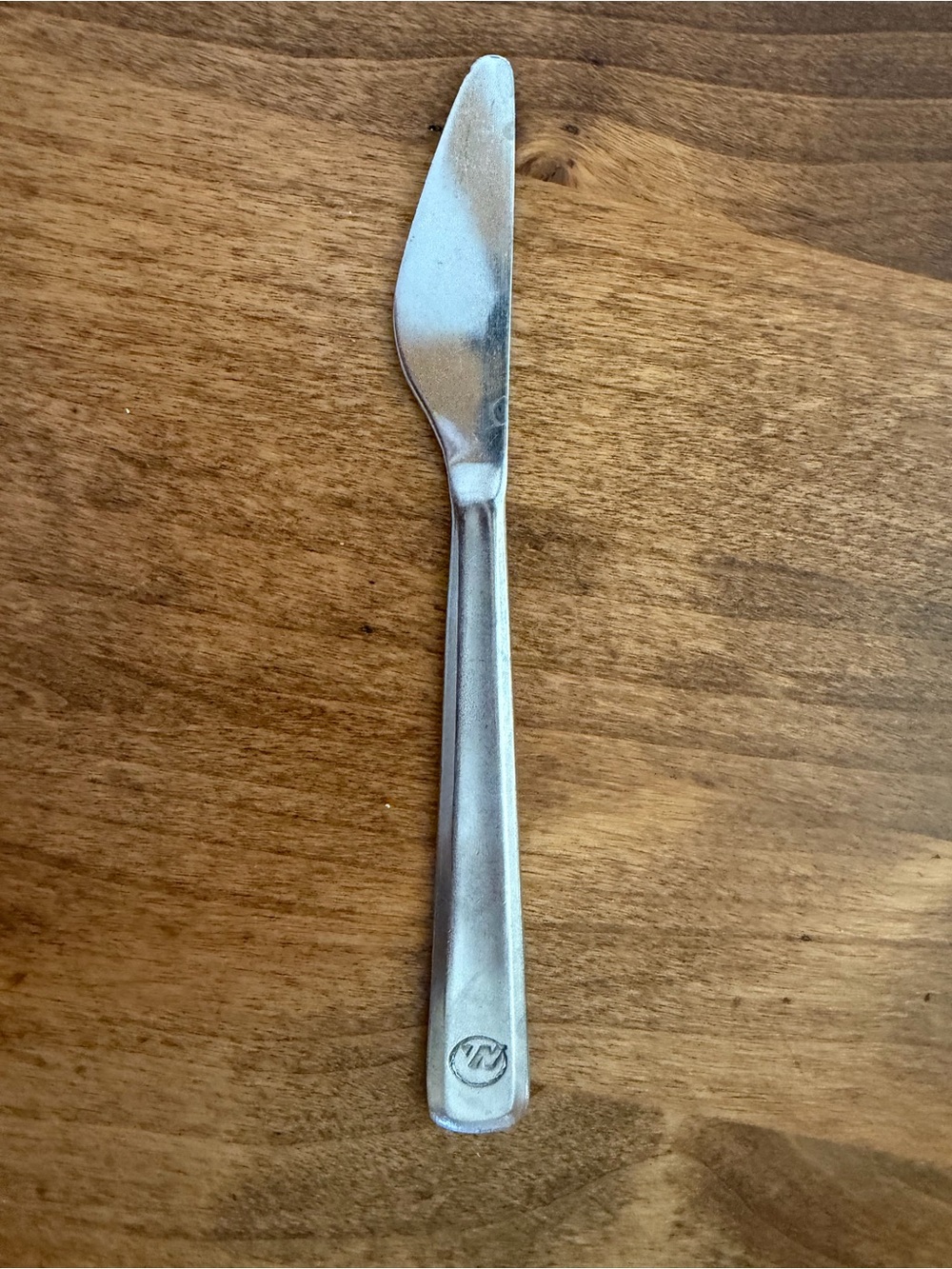 Northwest Airlines Stainless Steel Dinner Knife with Emblem